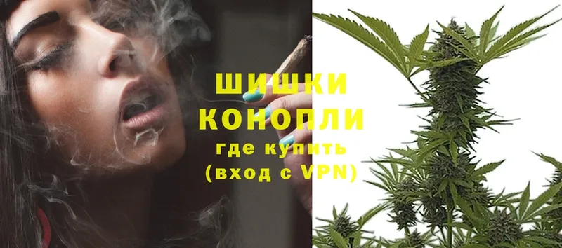 где можно купить наркотик  Буйнакск  Каннабис White Widow 